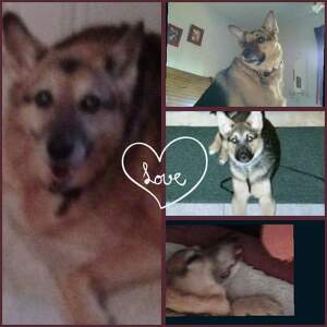 Melody Lleras-Aguirre